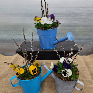 Pansy 7" Watering Can Planter, Assorted Styles, Pick up March 29 or 30, 2024