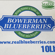 Fresh Michigan Blueberries 10 lbs Pre-Order 2025