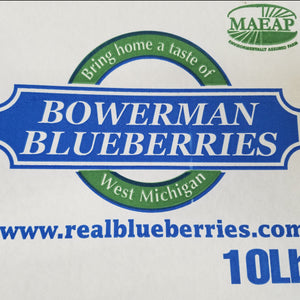 Fresh Michigan Blueberries 10 lbs Pre-Order 2025