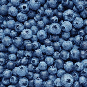 Fresh Michigan Blueberries 10 lbs Pre-Order 2025
