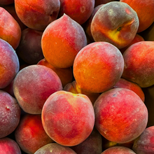 Southern Peaches 1/2 Bushel Pre-Order