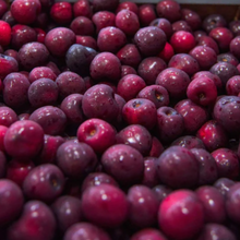 Sweet Michigan Cherries 10 lbs Pre-Order