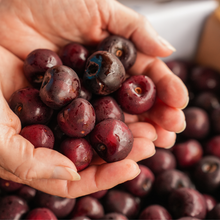 Sweet Michigan Cherries 10 lbs Pre-Order