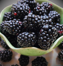 Blooms & Berries Blackberries Flat Pre-Order