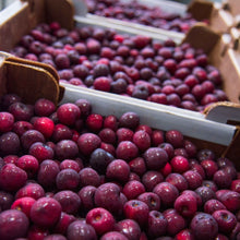 Sweet Michigan Cherries 10 lbs Pre-Order